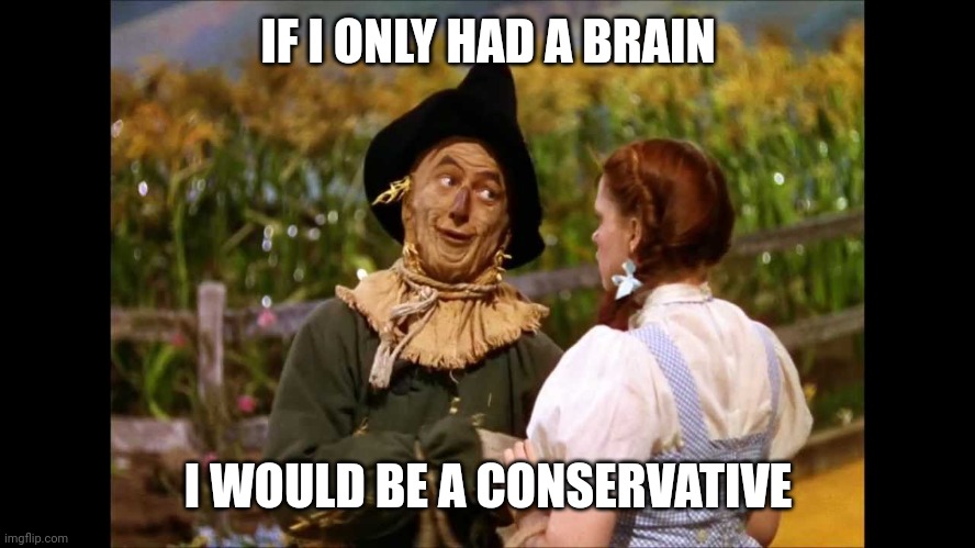 wizard of oz scarecrow | IF I ONLY HAD A BRAIN I WOULD BE A CONSERVATIVE | image tagged in wizard of oz scarecrow | made w/ Imgflip meme maker