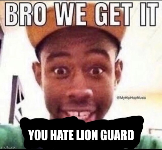 BRO WE GET IT YOU'RE GAY | YOU HATE LION GUARD | image tagged in bro we get it you're gay | made w/ Imgflip meme maker