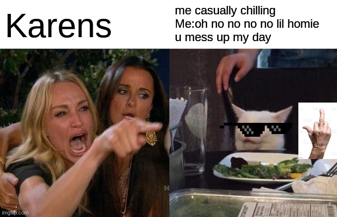 Woman Yelling At Cat Meme | Karens; me casually chilling 
Me:oh no no no no lil homie
u mess up my day | image tagged in memes,woman yelling at cat | made w/ Imgflip meme maker