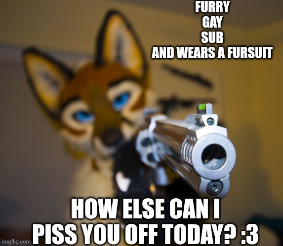 Furry with gun | FURRY
GAY
SUB
AND WEARS A FURSUIT; HOW ELSE CAN I PISS YOU OFF TODAY? :3 | image tagged in furry with gun | made w/ Imgflip meme maker