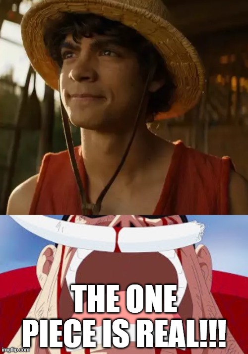 THE ONE PIECE IS REAL (literally) | THE ONE PIECE IS REAL!!! | image tagged in memes,one piece,the one piece is real,netflix,netflix adaptation,live action | made w/ Imgflip meme maker