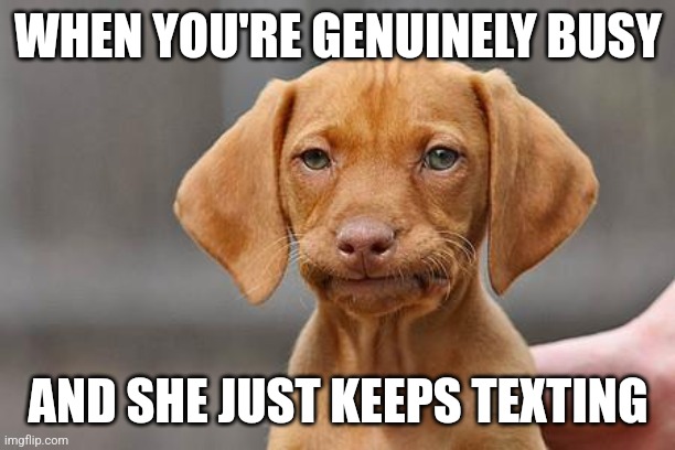 Too Busy to Title | WHEN YOU'RE GENUINELY BUSY; AND SHE JUST KEEPS TEXTING | image tagged in dissapointed puppy,busy,shhhh | made w/ Imgflip meme maker