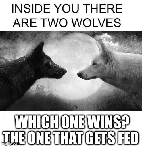 Inside you there are two wolves | WHICH ONE WINS? THE ONE THAT GETS FED | image tagged in inside you there are two wolves | made w/ Imgflip meme maker