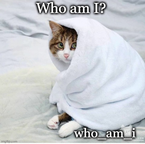 who_am_i Who am I? | made w/ Imgflip meme maker
