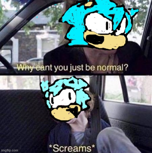 a bit of chaos | image tagged in why can't you just be normal,deku the hedgehog,winter i guess | made w/ Imgflip meme maker