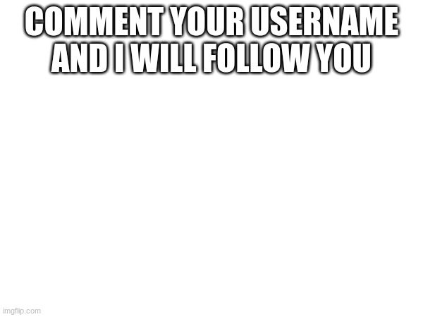 COMMENT YOUR USERNAME AND I WILL FOLLOW YOU | made w/ Imgflip meme maker