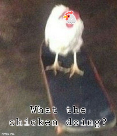 Dog on skateboard | 🐔; What the chicken doing? | image tagged in memes,skateboard,chicken,road | made w/ Imgflip meme maker