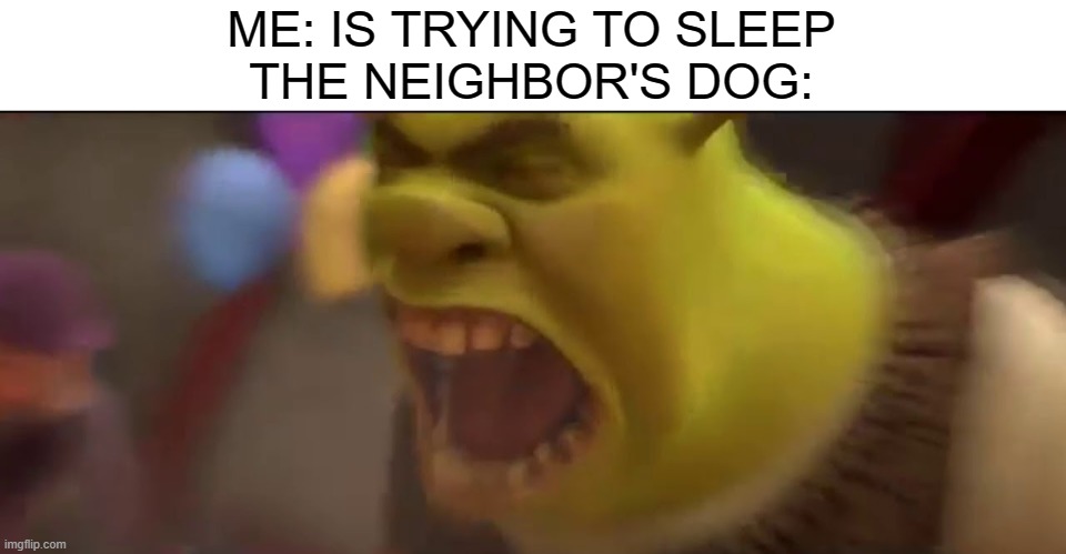 Shrek Screaming | ME: IS TRYING TO SLEEP
THE NEIGHBOR'S DOG: | image tagged in shrek screaming | made w/ Imgflip meme maker