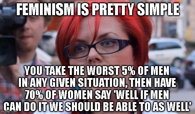 Angry Feminist | FEMINISM IS PRETTY SIMPLE; YOU TAKE THE WORST 5% OF MEN IN ANY GIVEN SITUATION, THEN HAVE 70% OF WOMEN SAY 'WELL IF MEN CAN DO IT WE SHOULD BE ABLE TO AS WELL' | image tagged in angry feminist | made w/ Imgflip meme maker