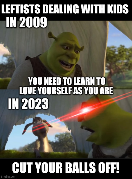 Shrek For Five Minutes | LEFTISTS DEALING WITH KIDS; IN 2009; YOU NEED TO LEARN TO LOVE YOURSELF AS YOU ARE; IN 2023; CUT YOUR BALLS OFF! | image tagged in shrek for five minutes | made w/ Imgflip meme maker