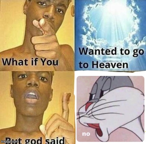 Meme in a meme | image tagged in what if you wanted to go to heaven | made w/ Imgflip meme maker