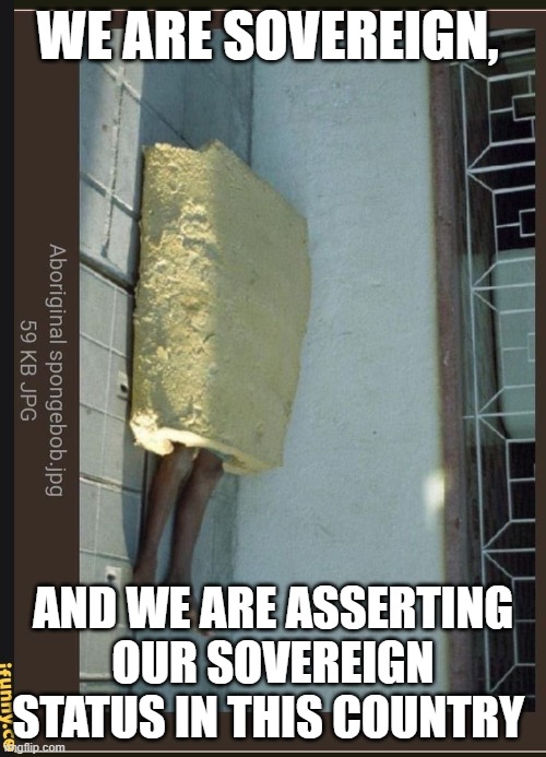 WE ARE SOVEREIGN, AND WE ARE ASSERTING OUR SOVEREIGN STATUS IN THIS COUNTRY | made w/ Imgflip meme maker