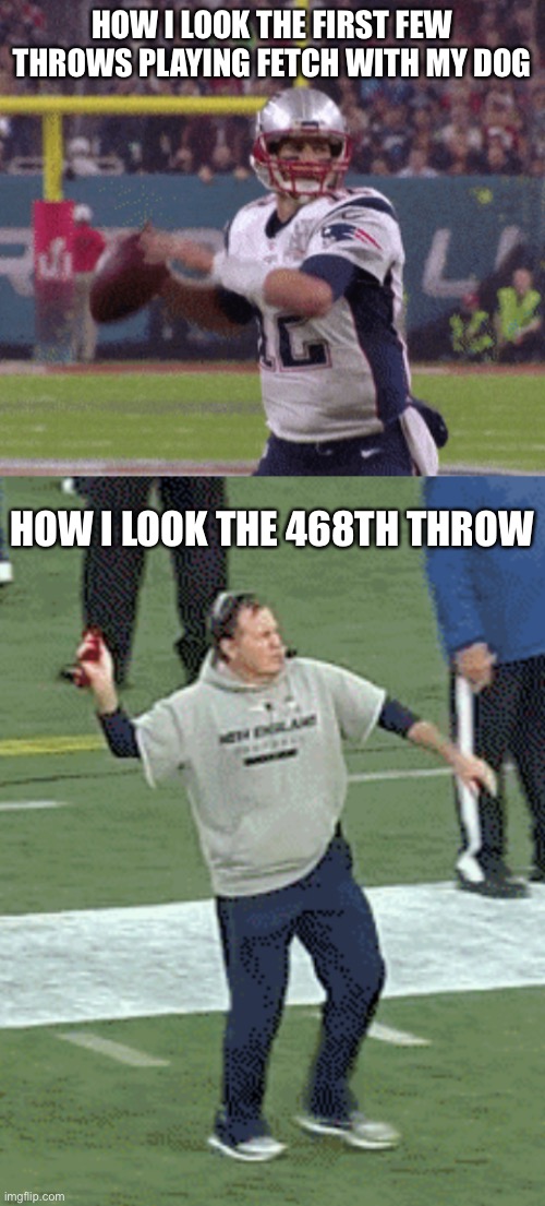 My dog never wants to quit lol | HOW I LOOK THE FIRST FEW THROWS PLAYING FETCH WITH MY DOG; HOW I LOOK THE 468TH THROW | image tagged in tom brady,bill belichick,funny meme,playing fetch,dog meme | made w/ Imgflip meme maker
