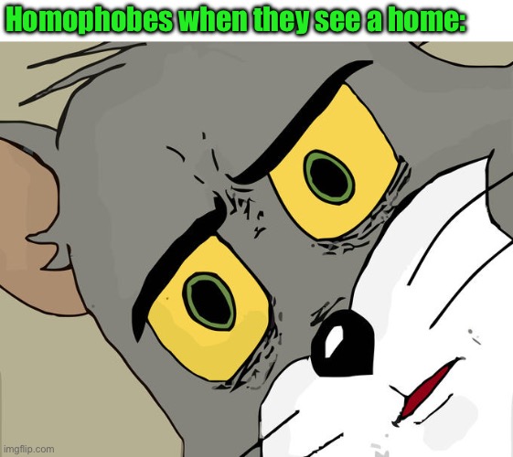 Unsettled Tom Meme | Homophobes when they see a home: | image tagged in memes,unsettled tom | made w/ Imgflip meme maker