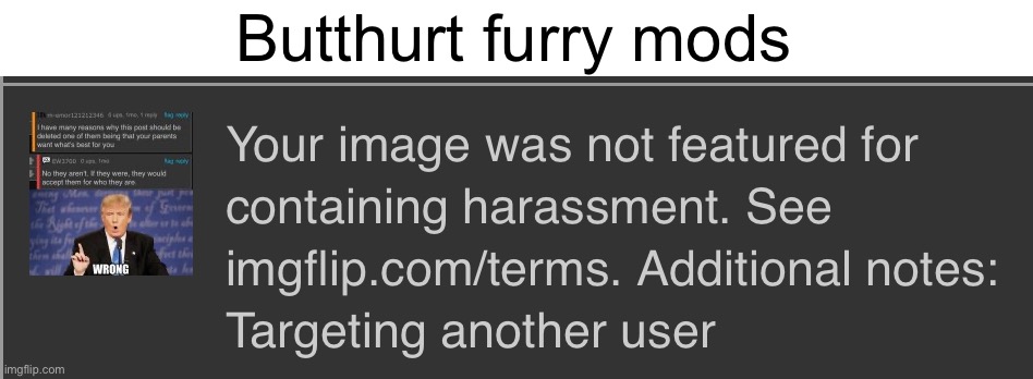 Butthurt furry mods | made w/ Imgflip meme maker