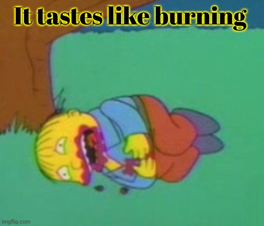 It tastes like burning | It tastes like burning | image tagged in it tastes like burning | made w/ Imgflip meme maker