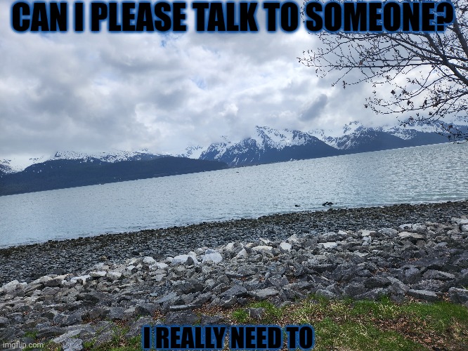 CAN I PLEASE TALK TO SOMEONE? I REALLY NEED TO | made w/ Imgflip meme maker