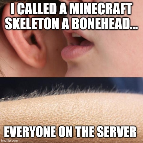 Bonehead | I CALLED A MINECRAFT SKELETON A BONEHEAD... EVERYONE ON THE SERVER | image tagged in whisper and goosebumps | made w/ Imgflip meme maker