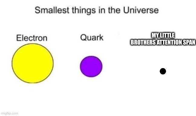 Smallest things in the universe | MY LITTLE BROTHERS ATTENTION SPAN | image tagged in smallest things in the universe | made w/ Imgflip meme maker