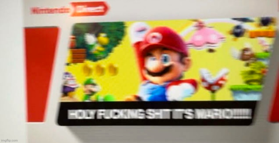 Nintendo Direct leak!!! | image tagged in nintendo,mario,nintendo switch | made w/ Imgflip meme maker