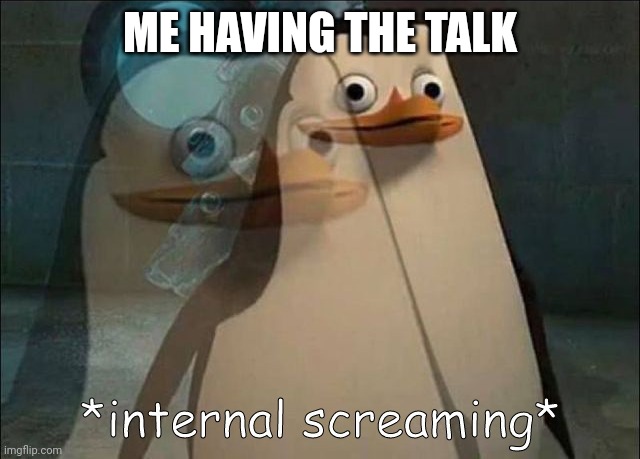 Private Internal Screaming | ME HAVING THE TALK | image tagged in private internal screaming | made w/ Imgflip meme maker