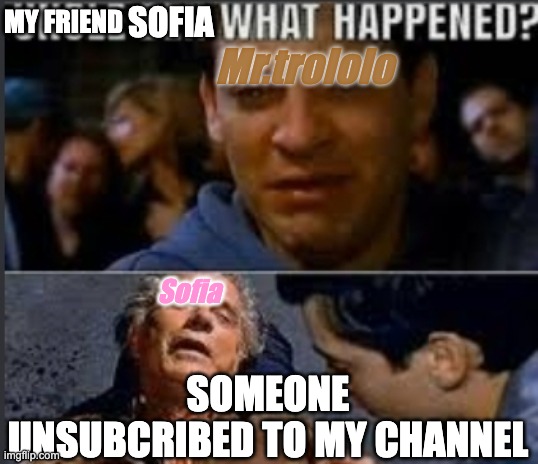 My friend Sofia What happened?! | MY FRIEND; SOFIA; Mr.trololo; Sofia; SOMEONE UNSUBCRIBED TO MY CHANNEL | image tagged in uncle ben what happened | made w/ Imgflip meme maker