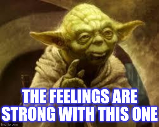 yoda | THE FEELINGS ARE STRONG WITH THIS ONE | image tagged in yoda | made w/ Imgflip meme maker