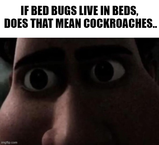 o_o | IF BED BUGS LIVE IN BEDS,  DOES THAT MEAN COCKROACHES.. | image tagged in titan stare | made w/ Imgflip meme maker