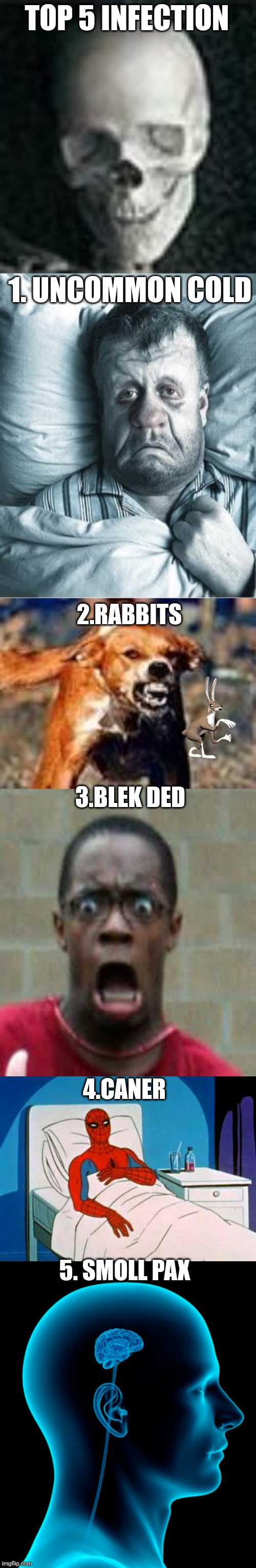 TOP 5 INFECTION; 1. UNCOMMON COLD; 2.RABBITS; 3.BLEK DED; 4.CANER; 5. SMOLL PAX | image tagged in skull,virus,memes,too 5,idk | made w/ Imgflip meme maker