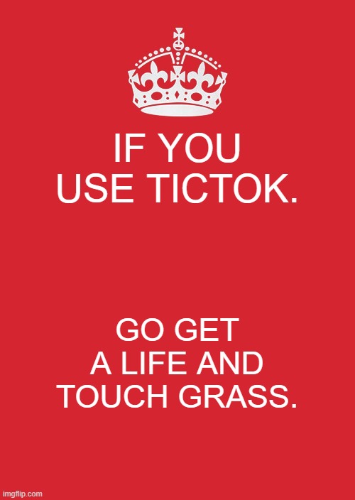 Keep Calm And Carry On Red | IF YOU USE TICTOK. GO GET A LIFE AND TOUCH GRASS. | image tagged in memes,keep calm and carry on red | made w/ Imgflip meme maker
