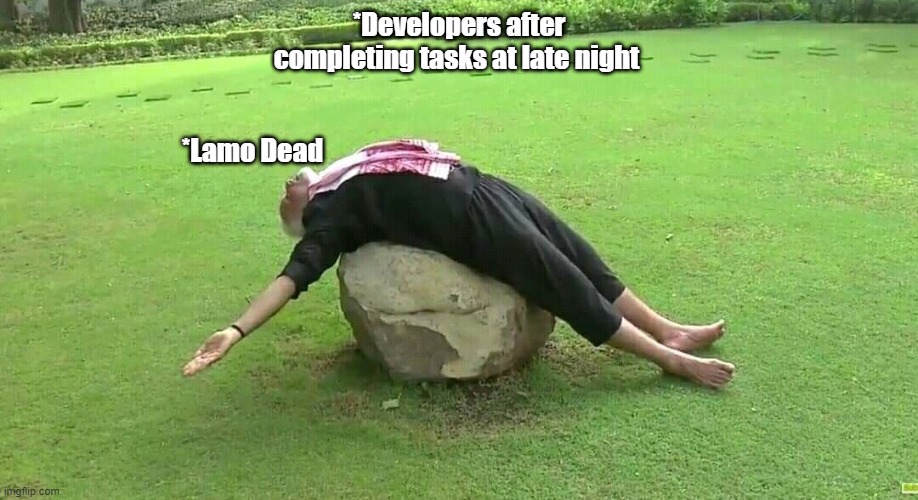 Project completion | *Developers after completing tasks at late night; *Lamo Dead | image tagged in programming | made w/ Imgflip meme maker