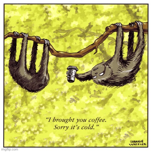 Sloth slooooow | image tagged in sloths,here is your coffee,it may be cold,comics | made w/ Imgflip meme maker