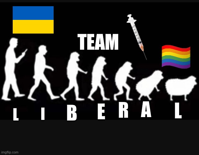 Team Lib | TEAM; I; A; R; L; B; E; L | image tagged in liberals,democrats,libtards | made w/ Imgflip meme maker