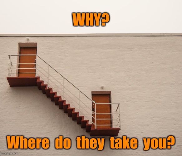 To the roof | WHY? Where  do  they  take  you? | image tagged in one job,why,where do they go,the roof | made w/ Imgflip meme maker