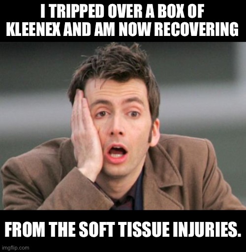 Tissue | I TRIPPED OVER A BOX OF KLEENEX AND AM NOW RECOVERING; FROM THE SOFT TISSUE INJURIES. | image tagged in tennant facepalm | made w/ Imgflip meme maker