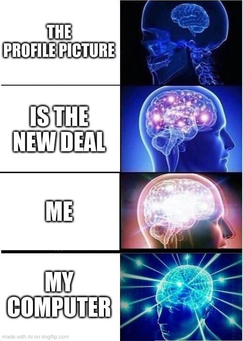 Once you get the point, it's obvious | THE PROFILE PICTURE; IS THE NEW DEAL; ME; MY COMPUTER | image tagged in memes,expanding brain | made w/ Imgflip meme maker