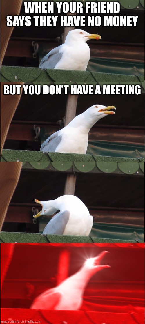 Inhaling Seagull Meme | WHEN YOUR FRIEND SAYS THEY HAVE NO MONEY; BUT YOU DON'T HAVE A MEETING | image tagged in memes,inhaling seagull | made w/ Imgflip meme maker