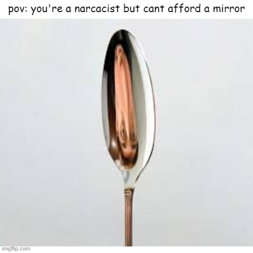 (this isnt my face) | pov: you're a narcacist but cant afford a mirror | image tagged in pov,something | made w/ Imgflip meme maker