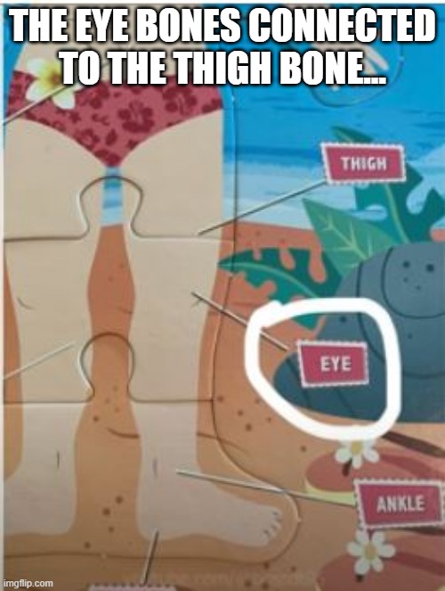 Eyes in the Back of Your.....Legs? | THE EYE BONES CONNECTED TO THE THIGH BONE... | image tagged in you had one job | made w/ Imgflip meme maker