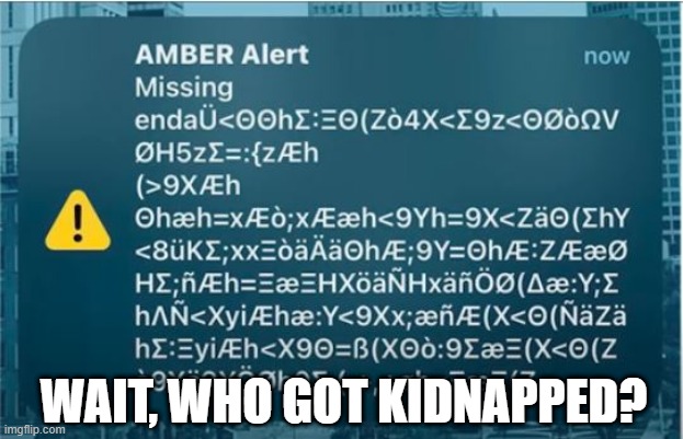 Poor Kid! | WAIT, WHO GOT KIDNAPPED? | image tagged in you had one job | made w/ Imgflip meme maker