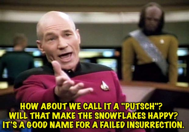 For the Insurrection Deniers on the unhinged Right | HOW ABOUT WE CALL IT A "PUTSCH"?  
WILL THAT MAKE THE SNOWFLAKES HAPPY?
IT'S A GOOD NAME FOR A FAILED INSURRECTION. | image tagged in startrek | made w/ Imgflip meme maker