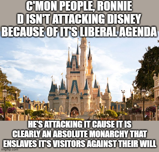 The Reality of Ron | C'MON PEOPLE, RONNIE D ISN'T ATTACKING DISNEY BECAUSE OF IT'S LIBERAL AGENDA; HE'S ATTACKING IT CAUSE IT IS CLEARLY AN ABSOLUTE MONARCHY THAT ENSLAVES IT'S VISITORS AGAINST THEIR WILL | image tagged in disney world | made w/ Imgflip meme maker