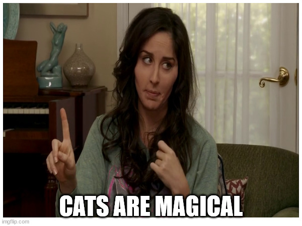 Cats are Magical | CATS ARE MAGICAL | image tagged in it's always sunny in philidelphia,maureen ponderosa | made w/ Imgflip meme maker