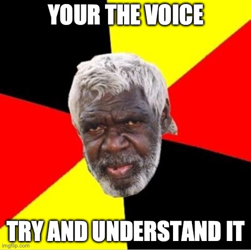 your the voice (to parliament) | YOUR THE VOICE; TRY AND UNDERSTAND IT | image tagged in aboriginal,voice to parliament,meanwhile in australia,australia | made w/ Imgflip meme maker