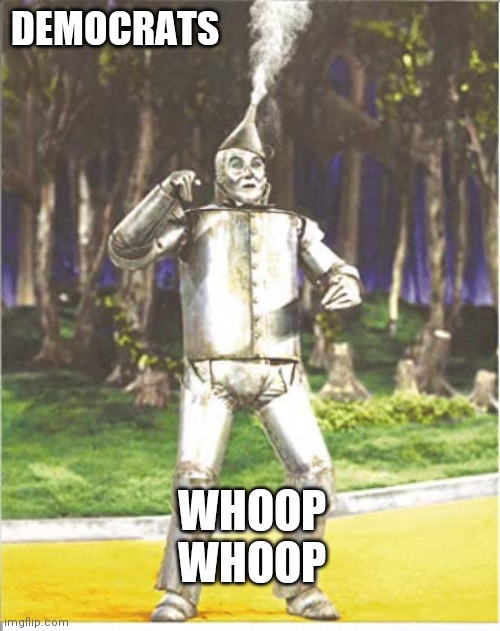 Tin man | DEMOCRATS WHOOP WHOOP | image tagged in tin man | made w/ Imgflip meme maker