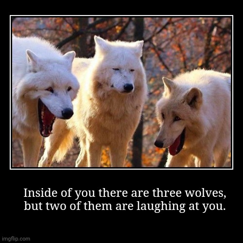 Starve them. | Inside of you there are three wolves,
but two of them are laughing at you. | | image tagged in funny,demotivationals,native american,teaching,meme parody | made w/ Imgflip demotivational maker