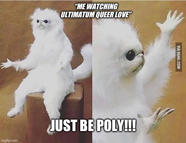 Ultimatum queer love poly | “ME WATCHING ULTIMATUM QUEER LOVE”; JUST BE POLY!!! | image tagged in confused white monkey,ultimatum,ultimatum queer love,poly,polyamory | made w/ Imgflip meme maker