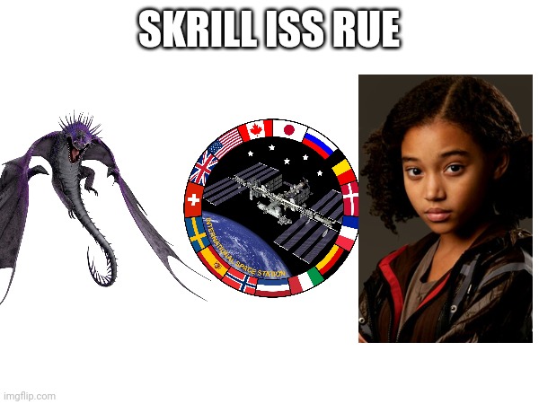 When you mistype skill issue, you get Skrill ISS Rue | SKRILL ISS RUE | image tagged in how to train your dragon,international space station,the hunger games,typo | made w/ Imgflip meme maker