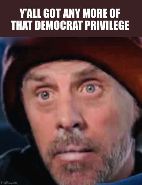 What me worry? | Y’ALL GOT ANY MORE OF 
THAT DEMOCRAT PRIVILEGE | image tagged in hunter biden | made w/ Imgflip meme maker