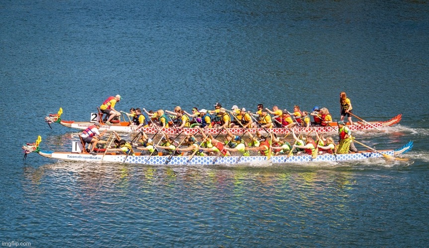 Dragon boats | image tagged in dragon boats,race,chinese,tradition | made w/ Imgflip meme maker
